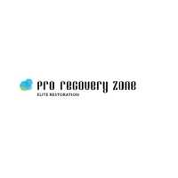 Pro Recovery Zone: Red Light, Cryotherapy & Physical Therapy Phoenix Logo