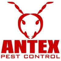 Antex Pest Control Logo