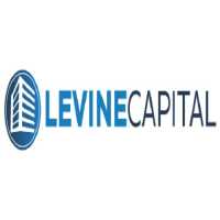 Levine Capital Management, LLC Logo