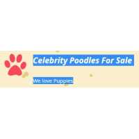 Celebrity Poodles Logo