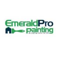 EmeraldPro Painting of Lake Norman Logo