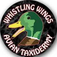 Whistling Wings Avian Taxidermy Logo
