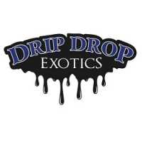 Drip Drop Exotic Car Rental Logo