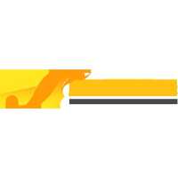UPS, FEDEX, DHL & USPS International Shipping Logo