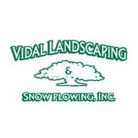 Vidal Snow System Corp. Logo