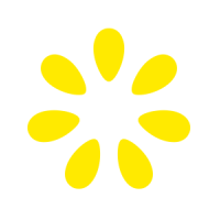 Lemonade - USC Logo