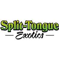 Split Tongue Exotics Logo