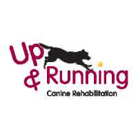 Up & Running Canine Rehabilitation Logo