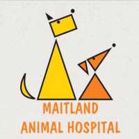 Maitland Animal Hospital Logo