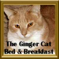 The Ginger Cat Bed & Breakfast Logo