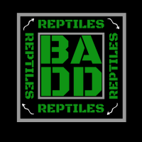 BADD REPTILES Logo
