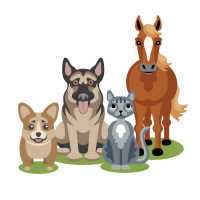 In Home Veterinary Nursing Care & Rehabilitation, IHVNCR Logo