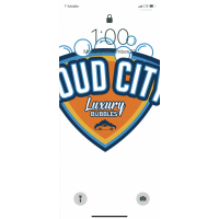 Loud City Luxury Detail Logo