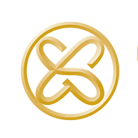 Gold Standard Automotive Network, Inc. Logo