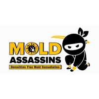 The Mold Assassins Logo