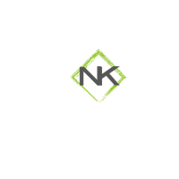 Neon Kite Digital Marketing Logo