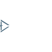 Triangle Environmental Logo