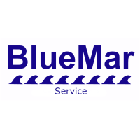 BlueMar Car Wash Services Logo