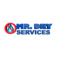 Mr. Dry Services Logo