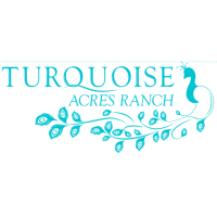 Turquoise Acres Ranch Logo