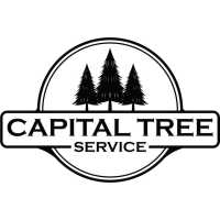 Capital Tree Service Logo