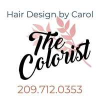 Hair Design by Carol Located inside Hairdresser's Etc Salon Logo