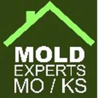 Mold Experts of Missouri & Kansas Logo