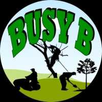 Busy B Lawn & Tree Services Logo