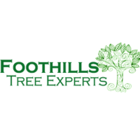 Foothills Tree Experts Logo