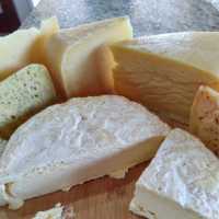 Evans Farmstead Cheese Logo