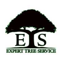 Expert Tree Service Logo