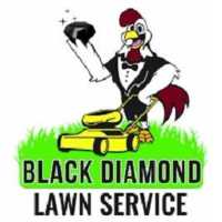 Black Diamond Lawn Service LLC Logo