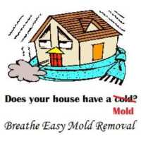 Breathe Easy Mold Removal Logo
