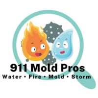 911 Mold Pros Logo