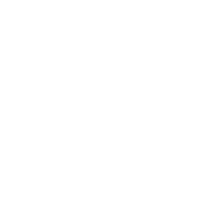 Custom Theater Solutions LLC Logo