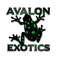 Avalon Exotics Logo
