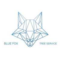 Blue Fox Tree Service Logo