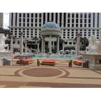 Neptune Pool at Caesars Palace Las Vegas Logo