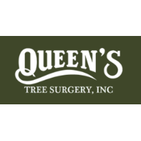 Queen's Tree Surgery, Inc Logo