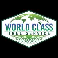 World Class Tree Service Logo