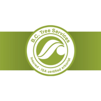B.C. Tree Services Logo