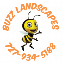 Buzz Landscapes Logo
