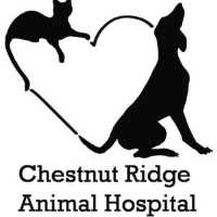Chestnut Ridge Animal Clinic Logo