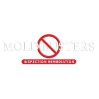 Mold Busters Inspection Remediation Logo