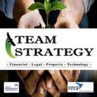 Team Strategy Logo