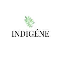 Indign Logo