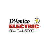 D'Amico Electric Logo