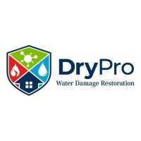DryPro Water Damage Restoration Logo