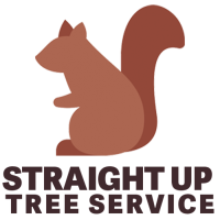 Straight Up Tree Service Logo