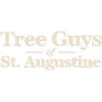 Tree Guys of St Augustine Logo